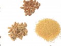 small piles of various grains