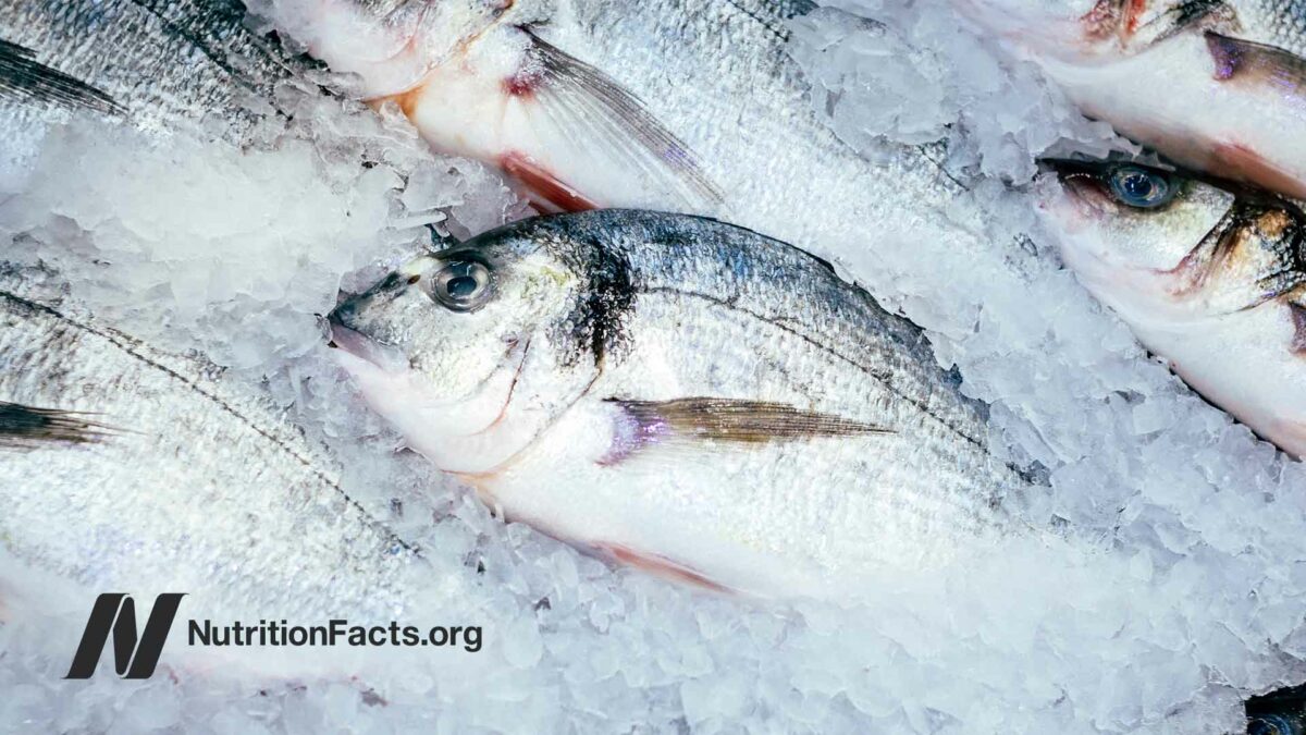 fish on ice