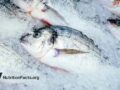fish on ice