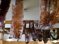 large sheets of seaweed drying on poles