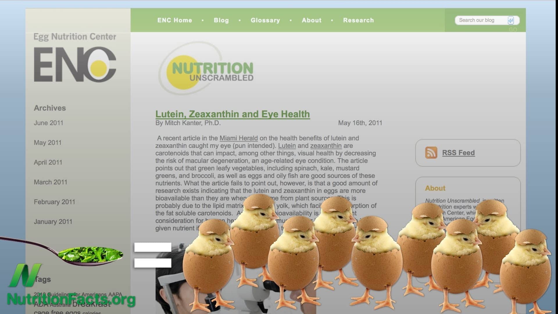 Egg industry blind spot