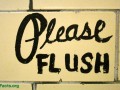 "please flush" written on a wall