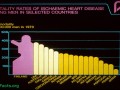 Dietary Guidelines- From Dairies to Berries