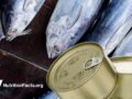 tuna and cans of tuna