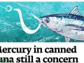 illustration of a tuna fish on a hook