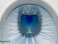 toilet bowl