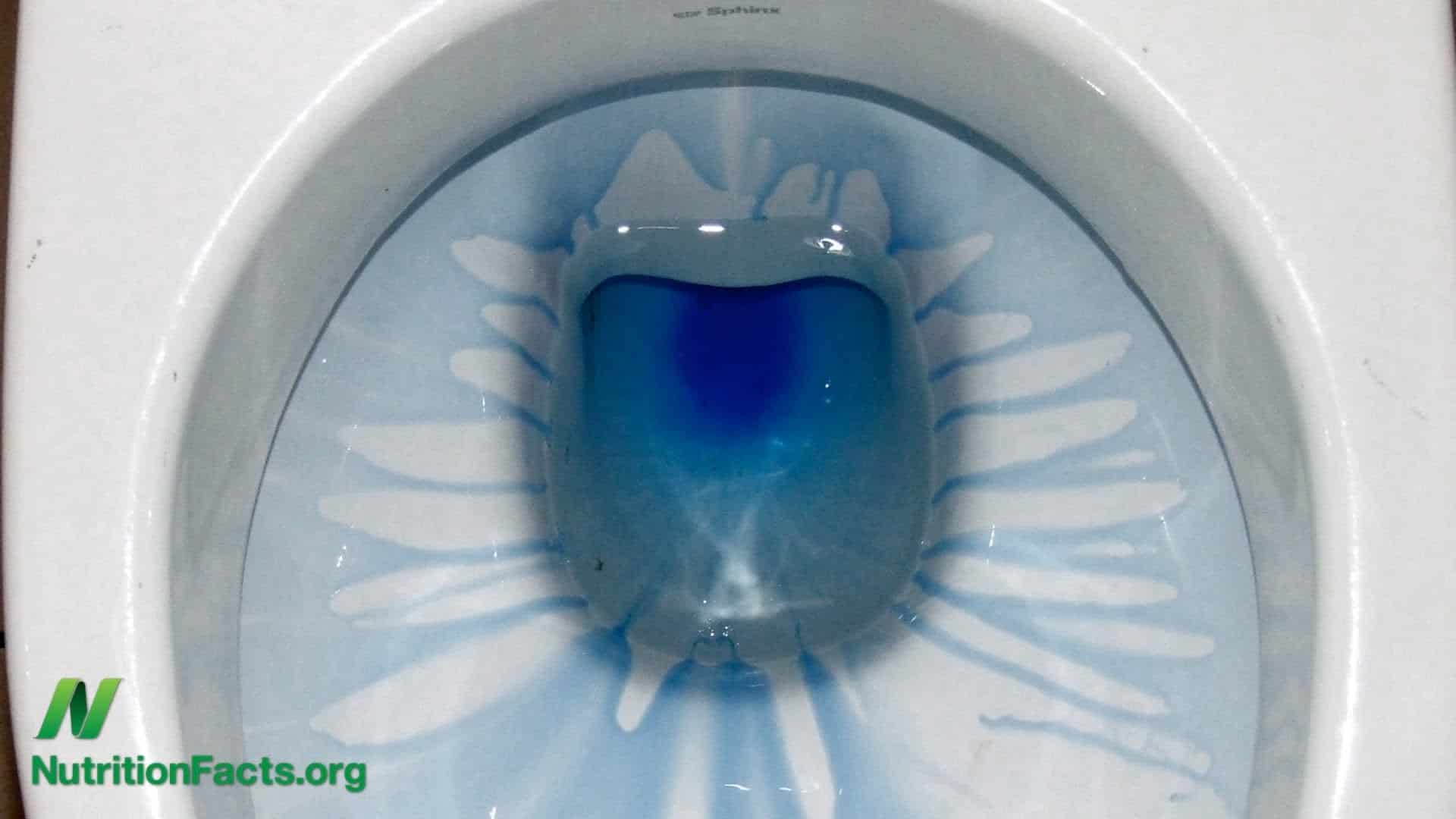 toilet bowl