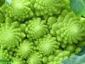 romanesco broccoli