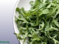 plate of arugula