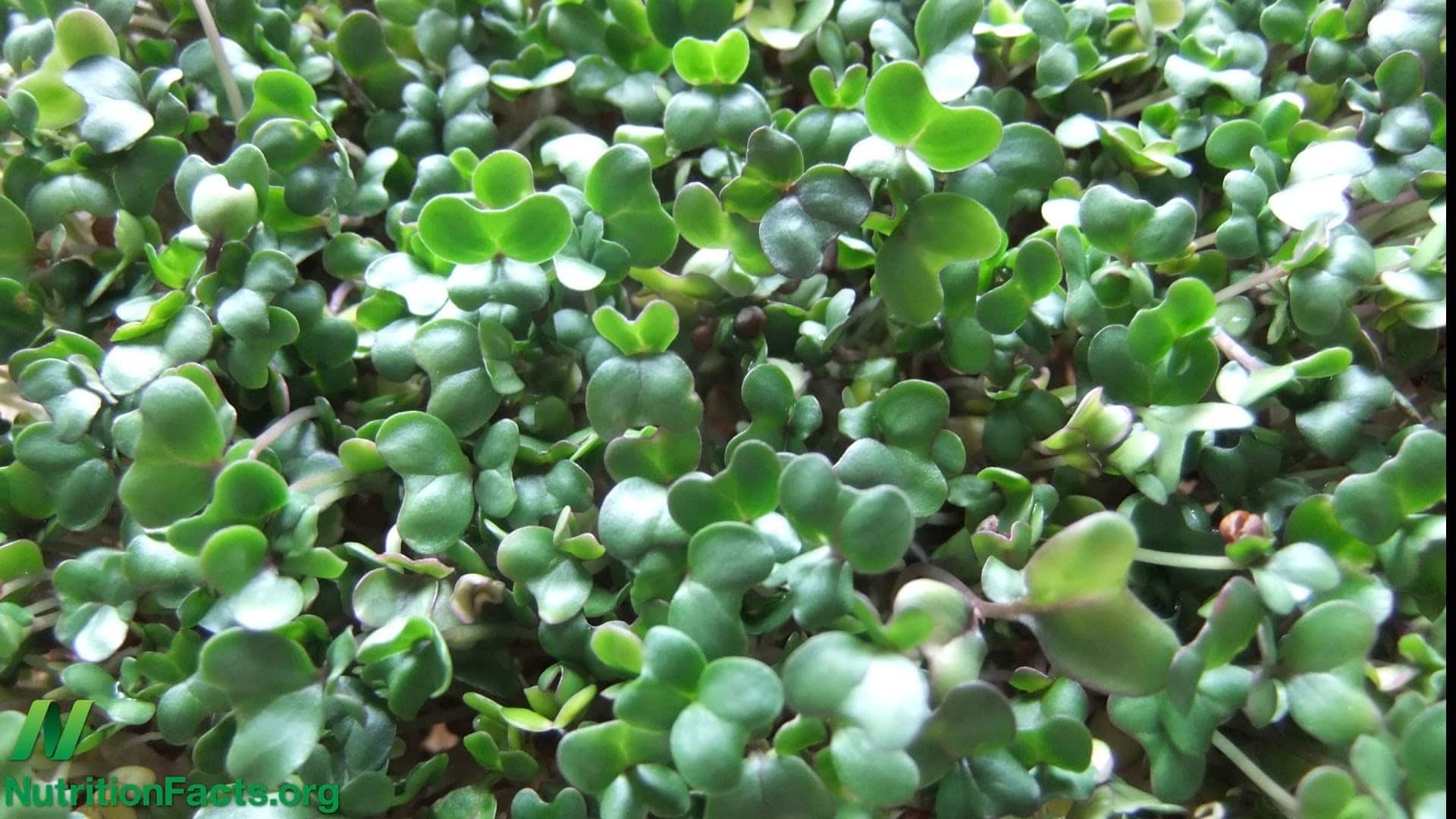 Sulforaphane: From Broccoli to Breast