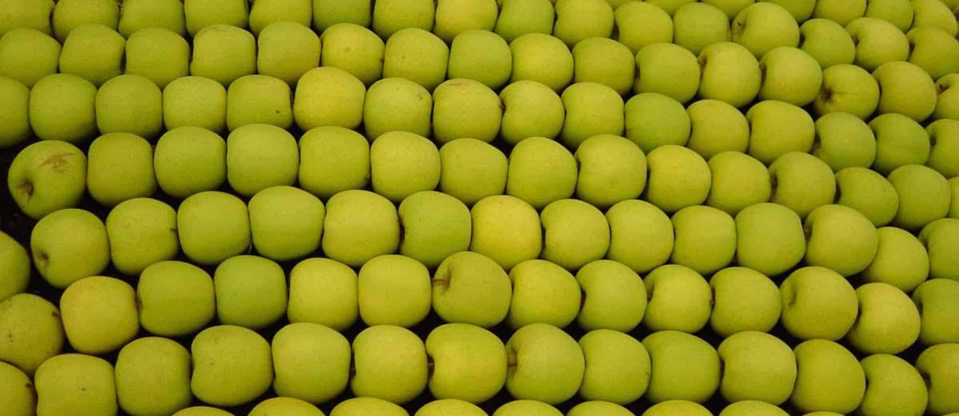 Apples and Oranges: Dietary Diversity