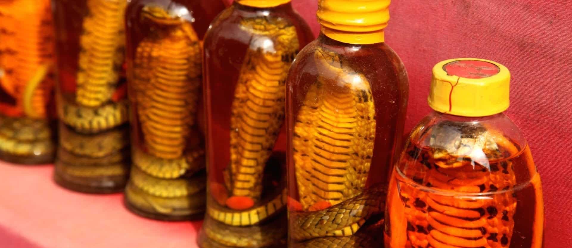jars containing snakes