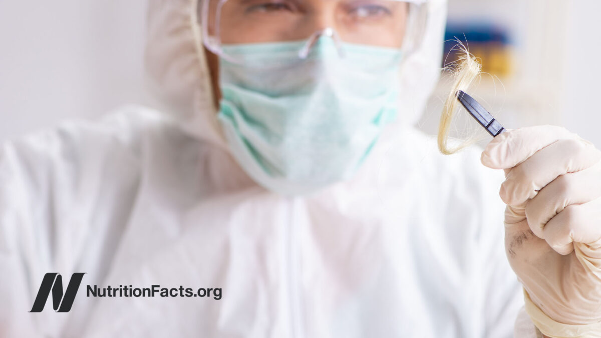 scientist examining hair sample