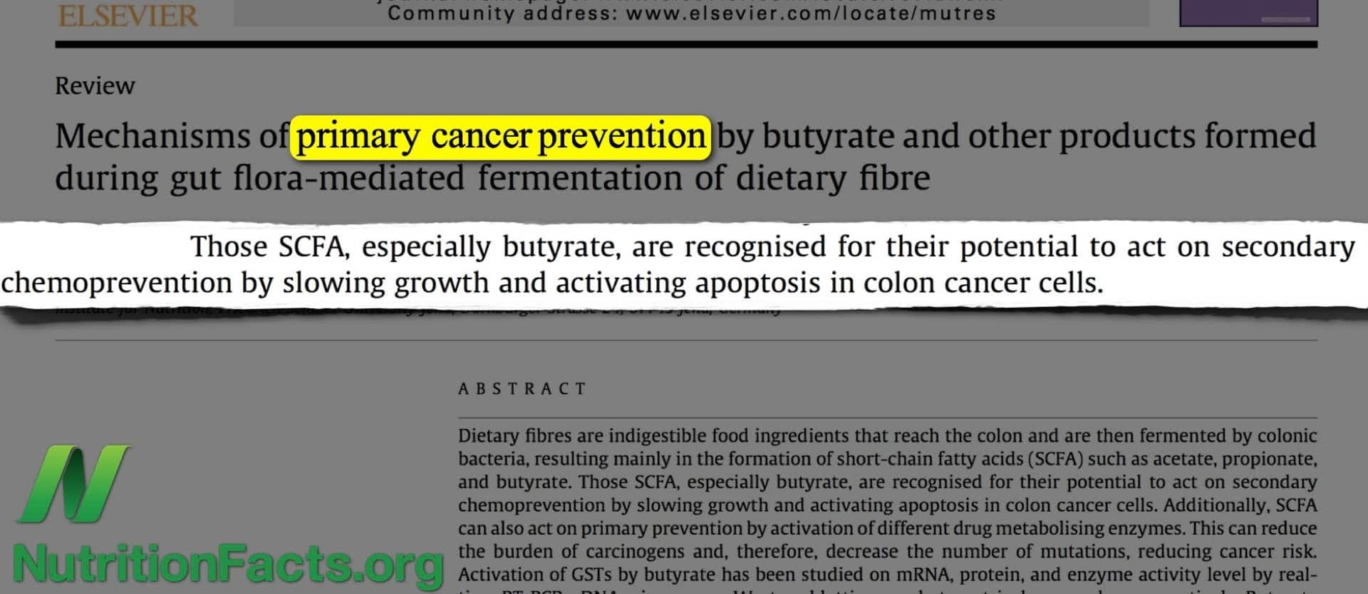 Boosting Good Bacteria in the Colon Without Probiotics