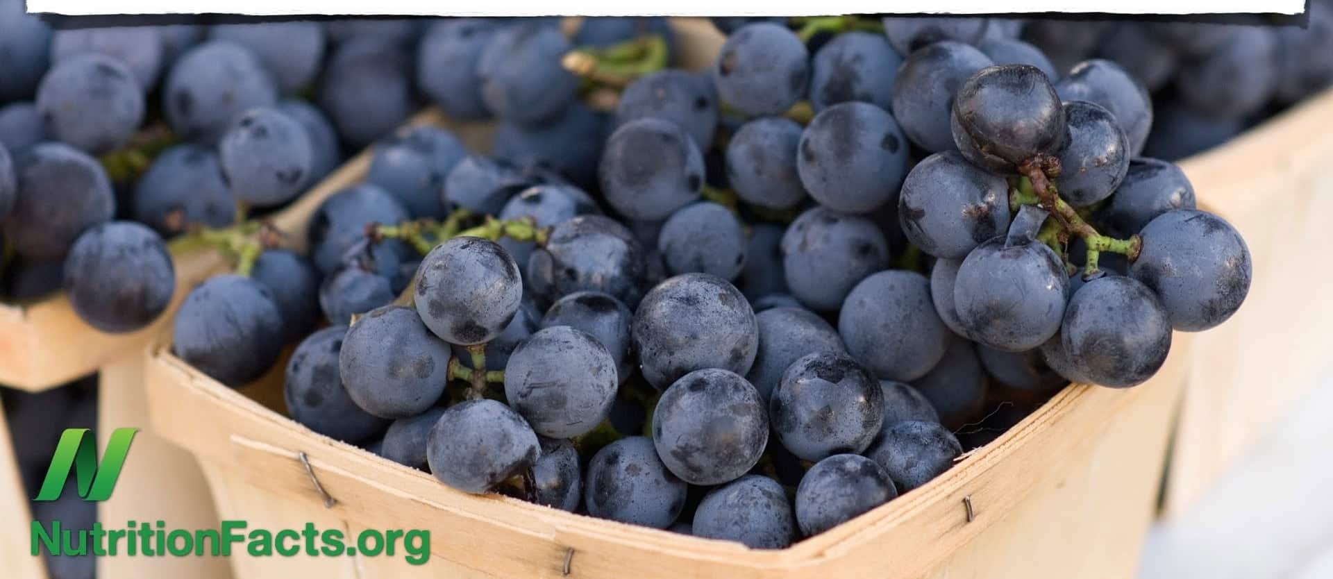 Fat Burning Via Flavonoids