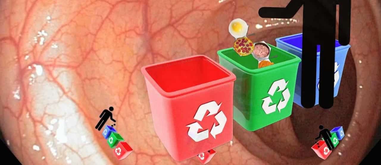 How Phytosterols Lower Cholesterol