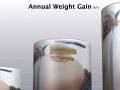 Meat and Weight Gain in the PANACEA Study