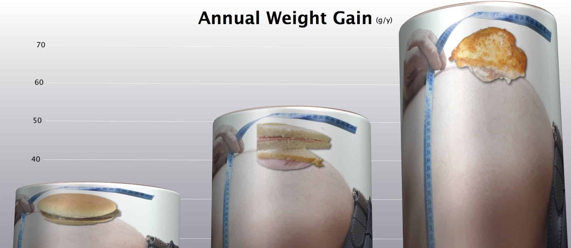 Meat and Weight Gain in the PANACEA Study