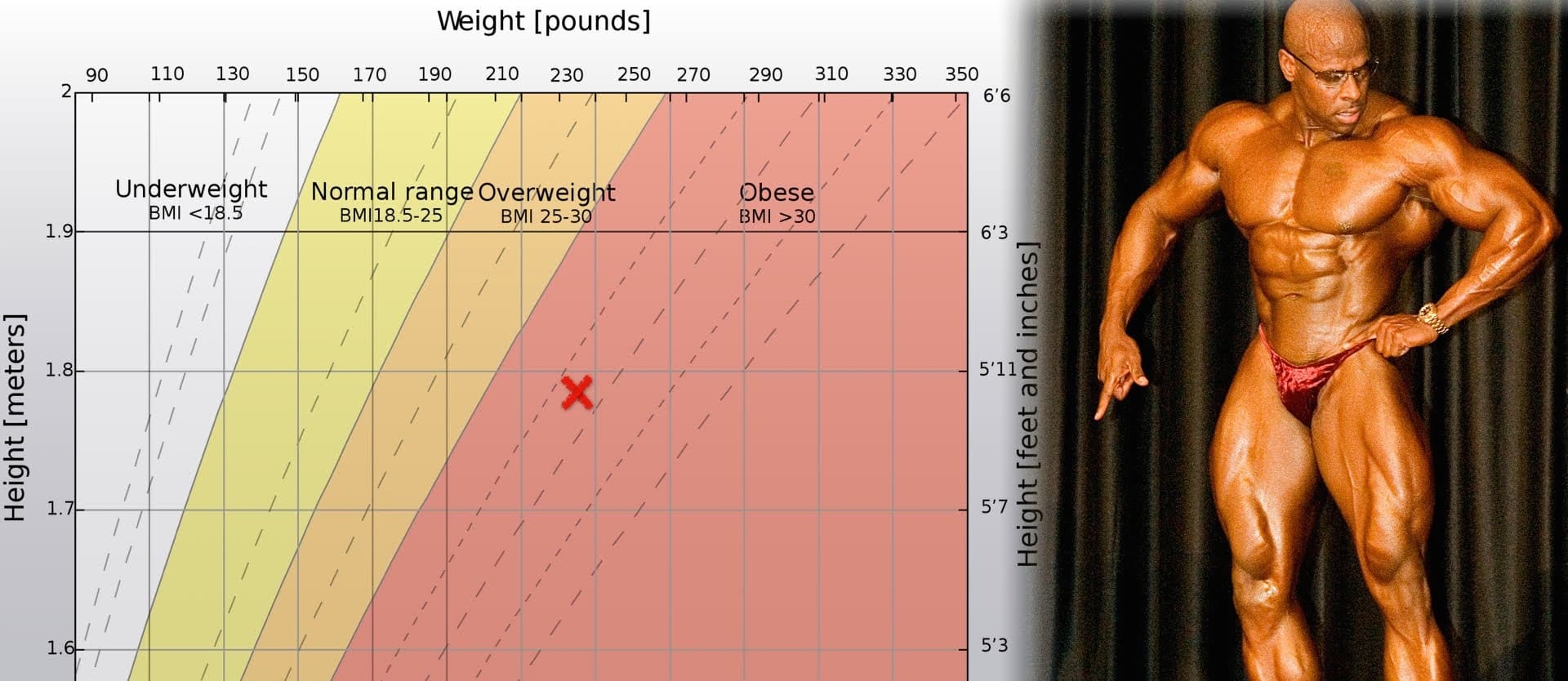 chart showing ideal BMI ranges, alongside a bodybuilder