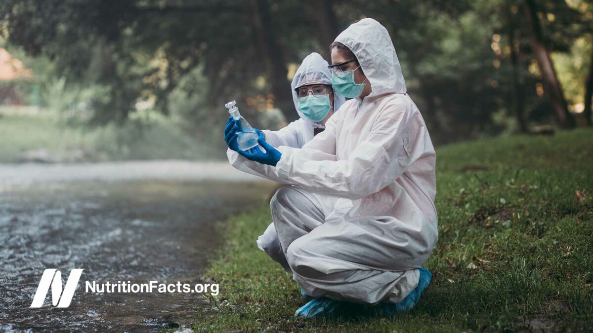scientists gathering samples outside