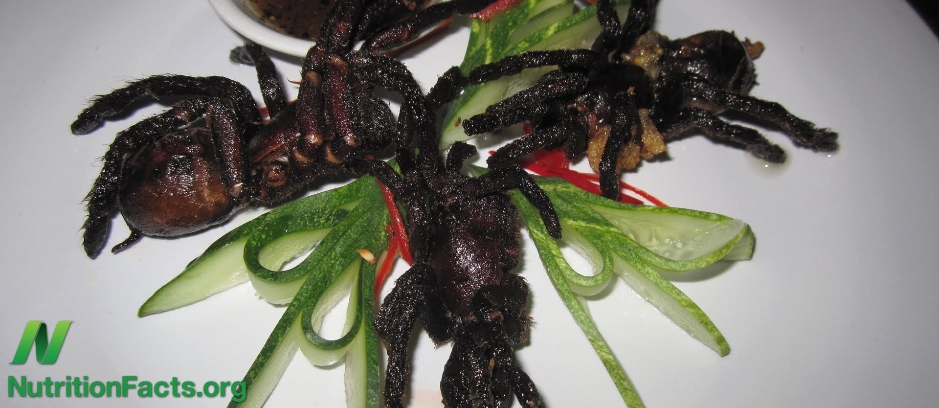Bug Appétit- Barriers to Entomophagy