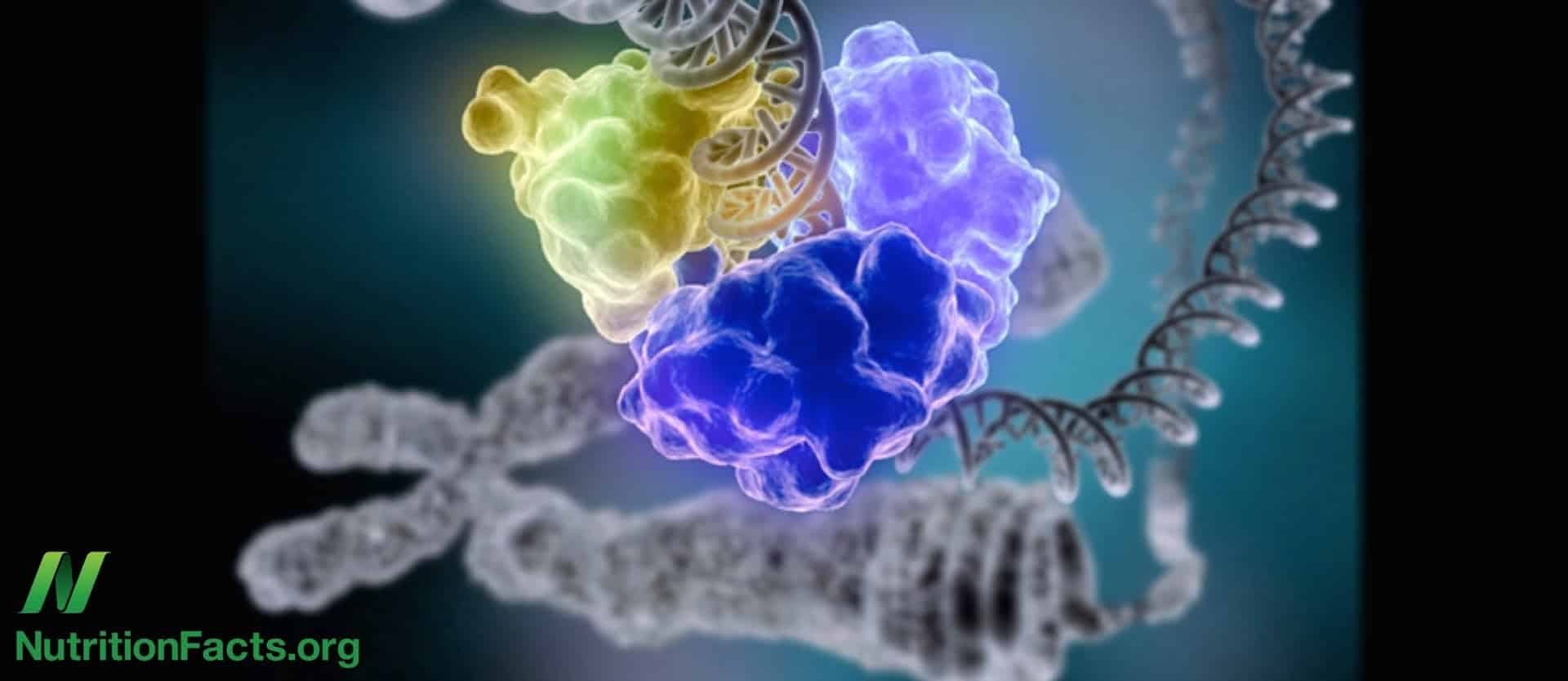 illustration of cancerous tumors