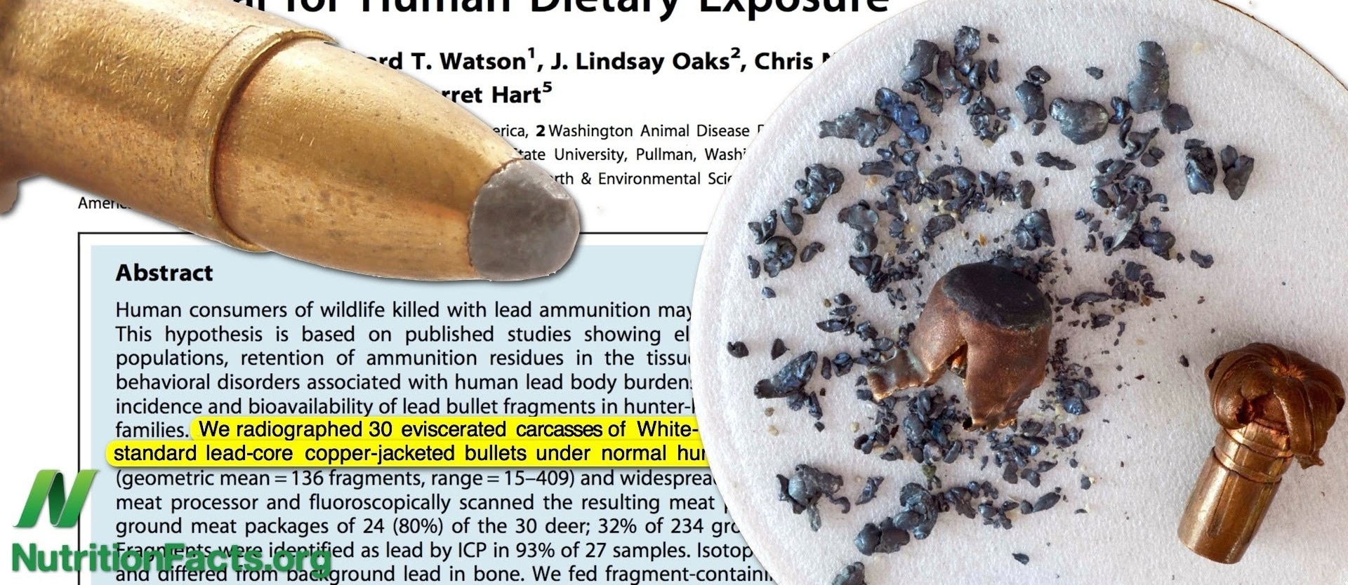 Filled Full of Lead