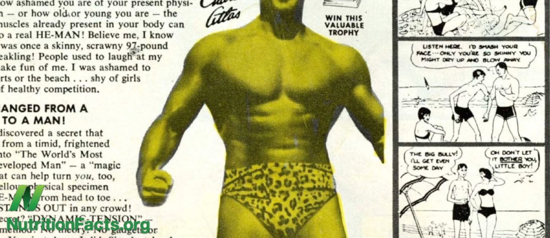 Plant-based Bodybuilding