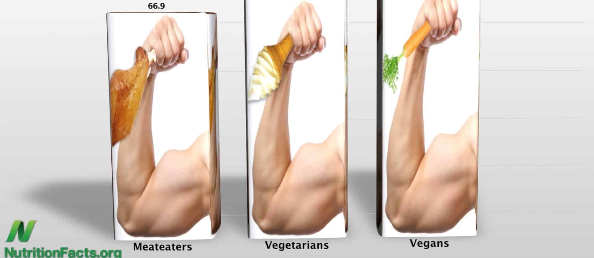 Protein Inatke and IGF-1 Production