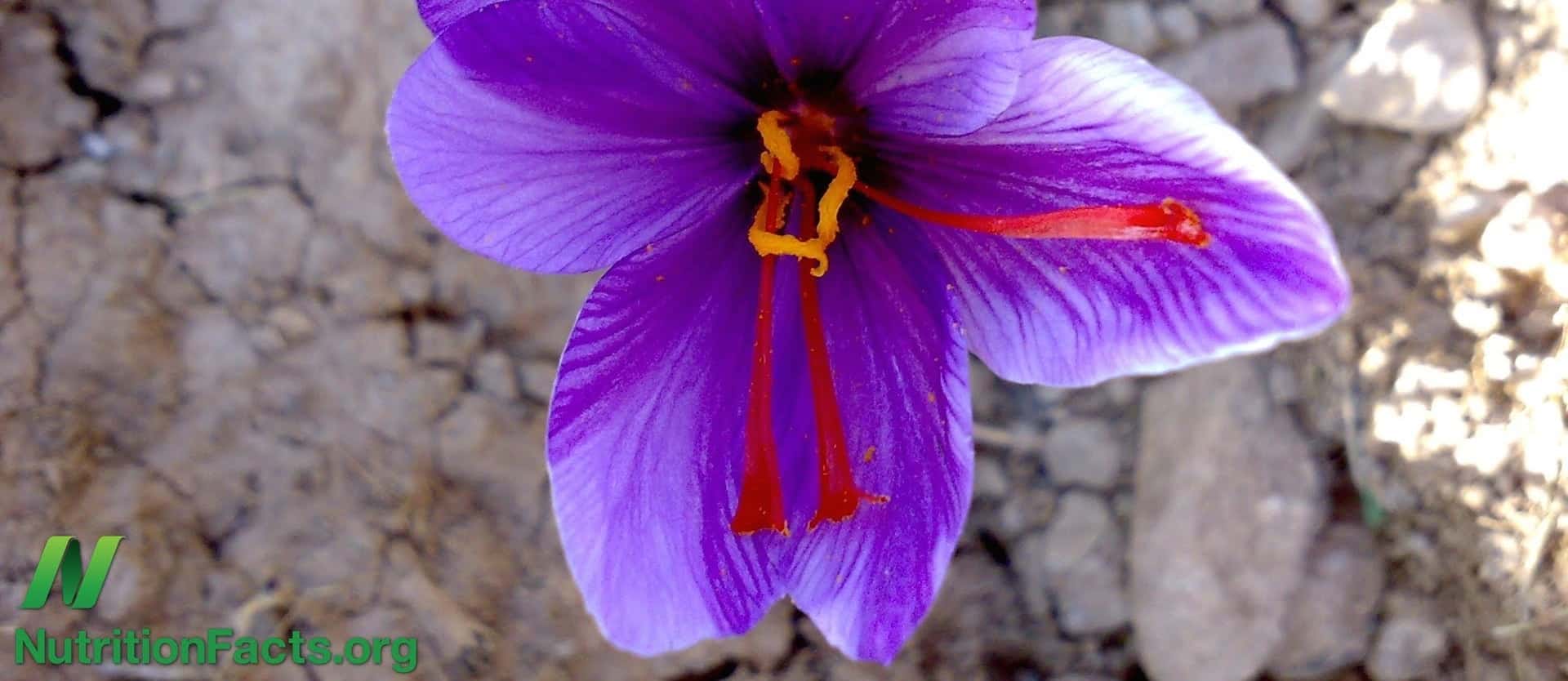 Wake up and smell the saffron