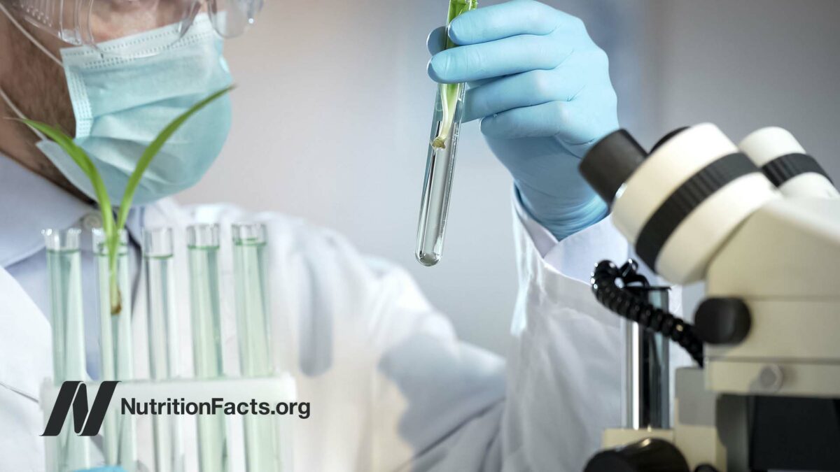 scientist looking at vial in lab
