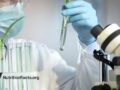 scientist looking at vial in lab