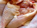 More antibiotics in white meat or dark meat