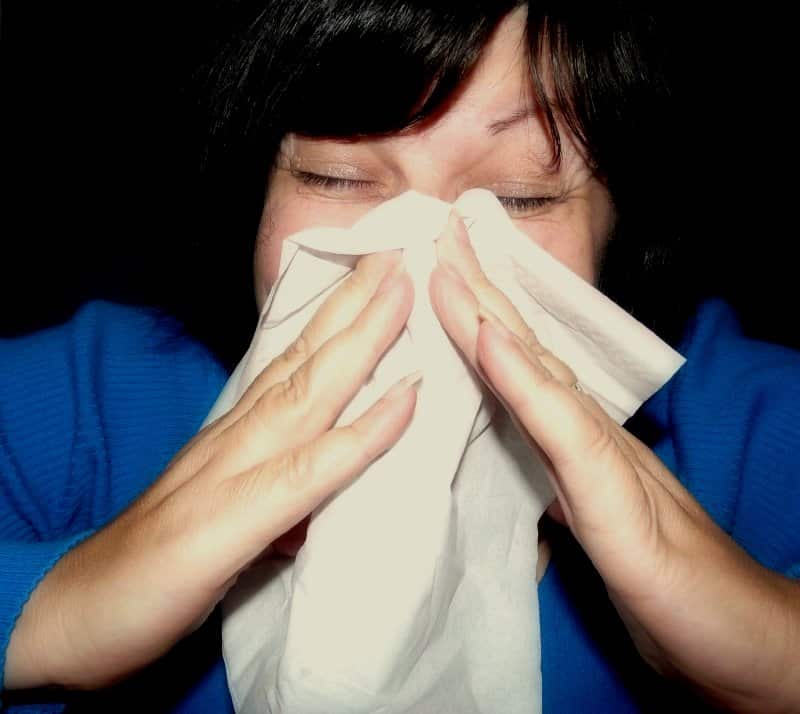 Nasal Allergies