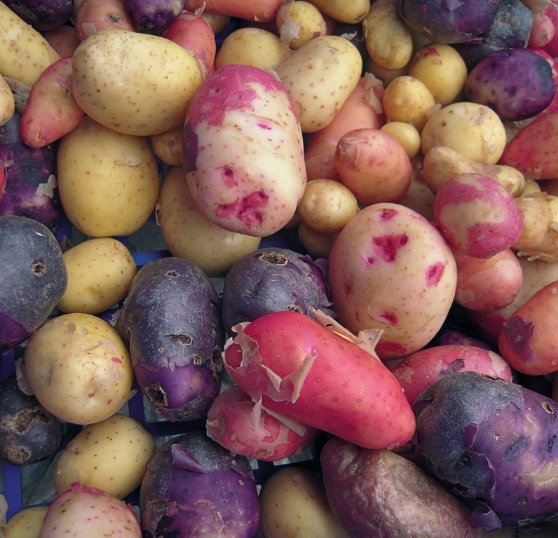 pile of various types of potatoes