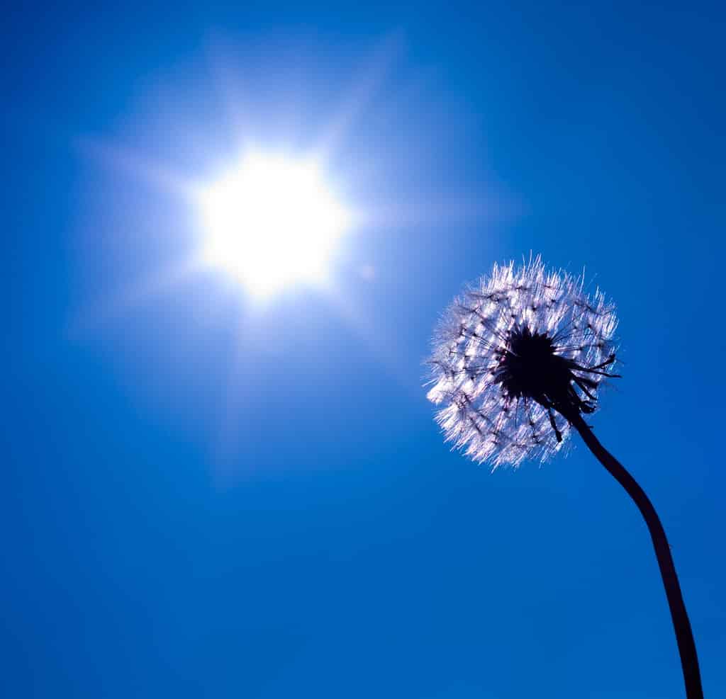 Vitamin D supplemented in Tuberculosis Cases