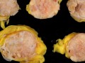 pieces of meat
