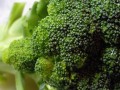 head of broccoli