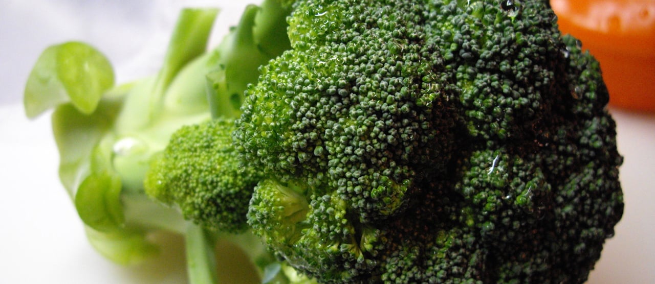 head of broccoli