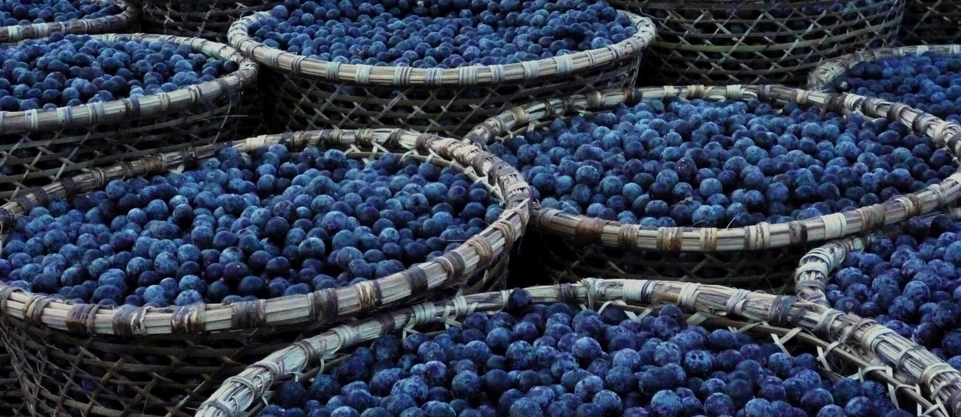 baskets filled with açai berries