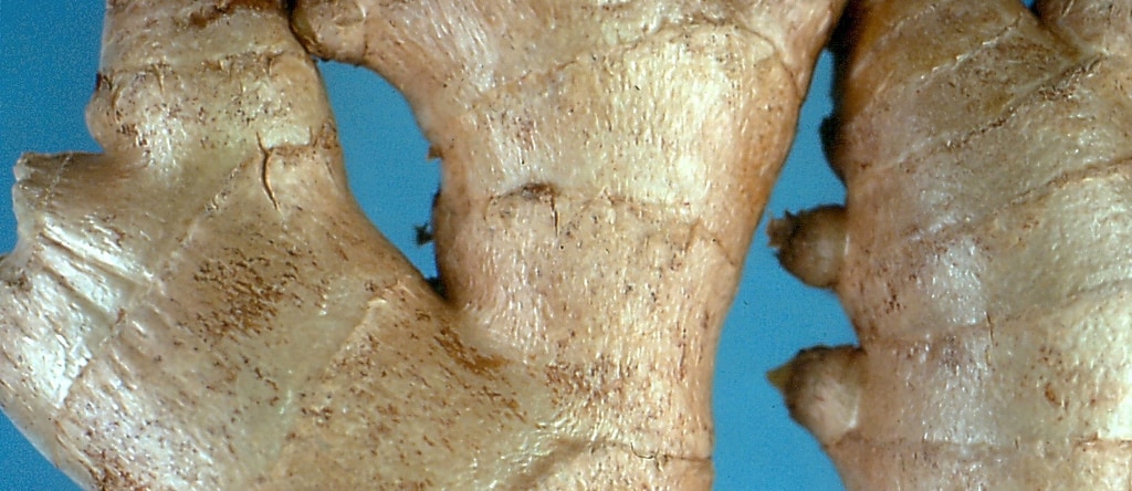 close-up of ginger root