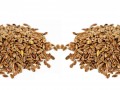 two mounds of flaxseeds