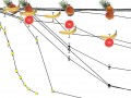 graph showing the effects of various fruits on cancer cell proliferation