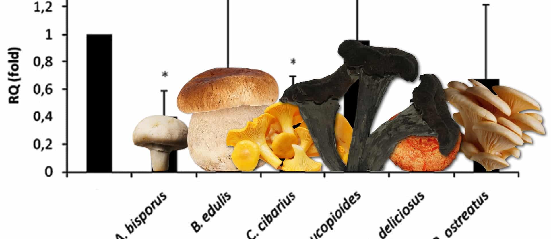 graph showing the antibody-stimulating capabilities of various mushrooms