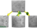 illustration of blocks showing the effects of celery and bell peppers