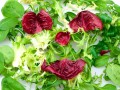 salad leaves laid out to resemble a smiling face