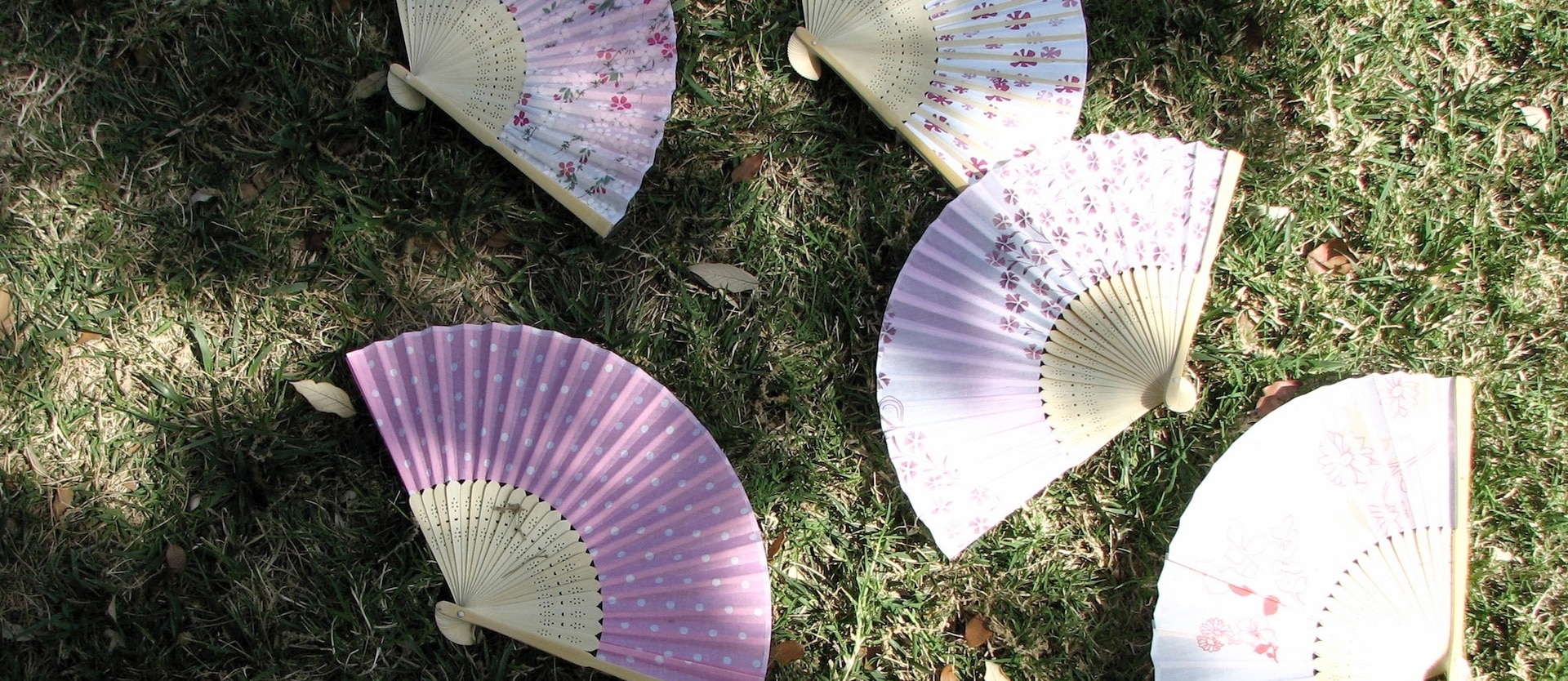 six pink paper fans on grass