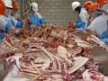 workers at a slaughterhouse
