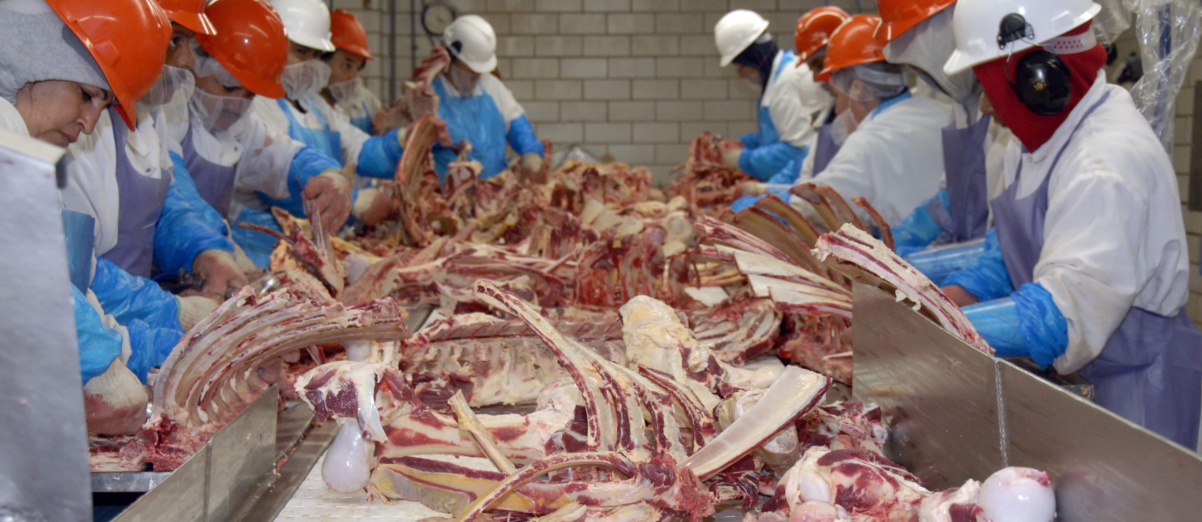 workers at a slaughterhouse