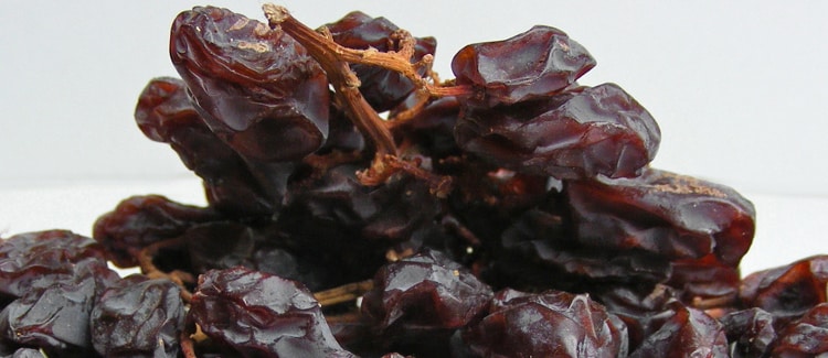 raisins on a stalk